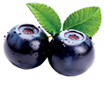 Symbol Borůvka